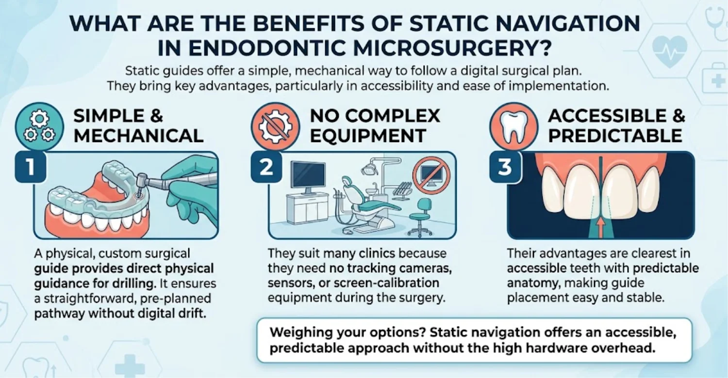 infographic Dynamic vs Static Navigation in Endodontic Microsurgery 2